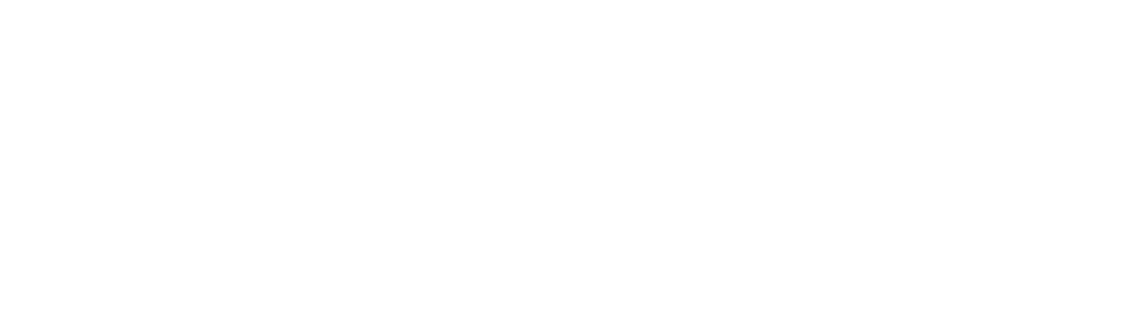 Shani Group